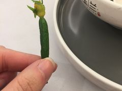 -新名仕新白玉兰餐厅