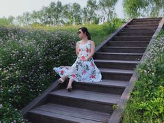 -洨河生态公园