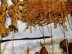 -老酱油炸社