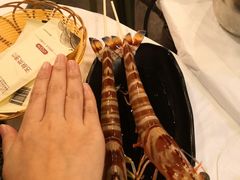 -鲜入围煮花胶鸡海鲜火锅