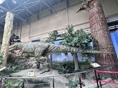 -国家自然博物馆