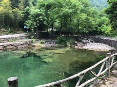 -白云源风景区
