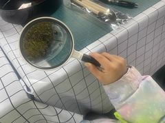 -嘉北郊野公园