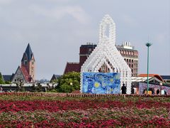 -荷兰花海