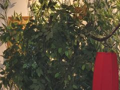 -壹零捌道·北京烤鸭(车公庄店)