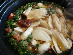 安顺青椒鸡配姬松茸和老人头菌-黔蘑菇四季餐厅(观山湖店)