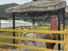 -宁波九龙湖开元度假村