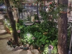 -蘇河湾·新鲁菜·泰山宴(泰山店)