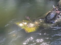 -普陀山风景名胜区-法雨禅寺