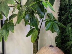 -宫七SPA·高端Massage(浦东大道店)
