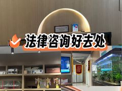 -上海领胜律师团队·法律咨询