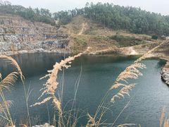 -黄埔油麻山森林公园