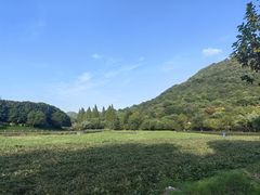 -八卦田遗址公园