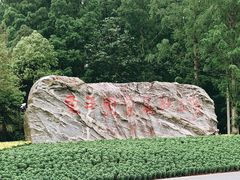 -东平国家森林公园
