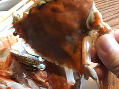 -海味当家·蒸锅海鲜(星海公园店)