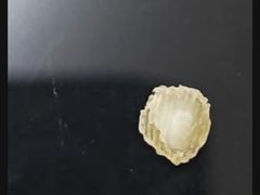 -康平锅贴馆时令海鲜(大润发店)