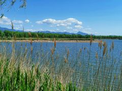 -野鸭湖国家湿地公园