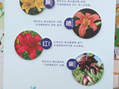 -万顷园艺世界
