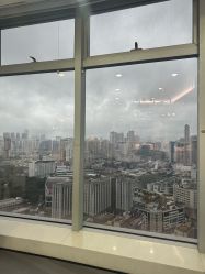 -张小野·专业半永久纹眉