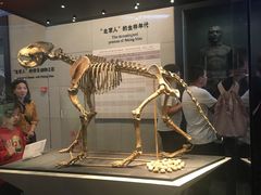-北京周口店北京人遗址博物馆