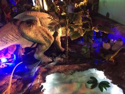 -恐龙探索乐园(磁器口店)