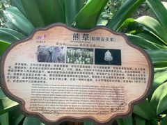 -南山植物园