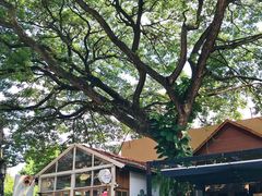 -Cheevit Cheeva(Sirimangkalajarn)
