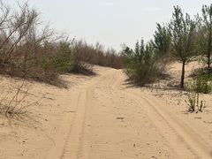 -亿利库布其七星湖沙漠生态旅游区