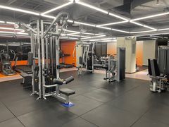 -健身专家Wellness Experts