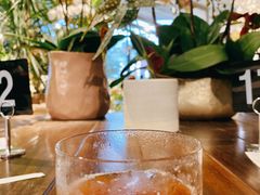 -Seesaw Coffee(深圳万象天地店)