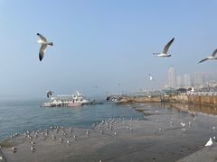 -星海广场