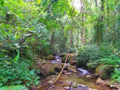 -孔雀湖生态旅游区