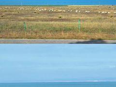 -青海湖国家重点风景名胜区