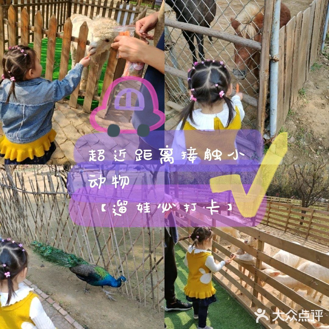 亲近大自然🌾亲近小动物🐘【遛娃必去】