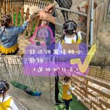 亲近大自然🌾亲近小动物🐘【遛娃必去】