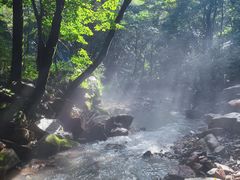 -本溪汤沟绿石谷森林公园