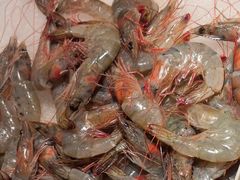 -星伦多自助料理·涮烤一体(嘉兴八佰伴店)