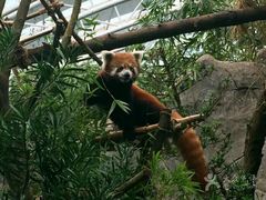 美景-河川生态园
