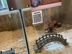 -珠海海泉湾神秘岛亲子乐园