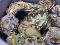 -千岛蚝高压锅生蚝·人参火锅(白云万达店)