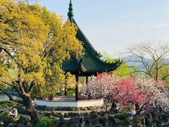 -无锡蠡湖国家湿地公园-蠡园