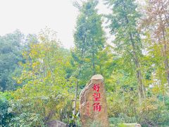 -上海市保健医疗中心