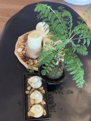 -栖SPA·ONDA ·海菲秀·皑皑科技美肤中心