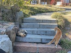 -采石矶景区