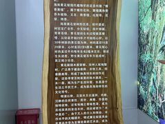 -呀诺达热带雨林