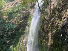 -莫里热带雨林景区