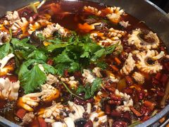 -重庆乌鱼庄·龙滋鲜(青羊大道店)