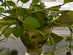 -一点味(安定门店)