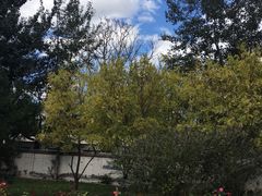 -北京西国贸大酒店