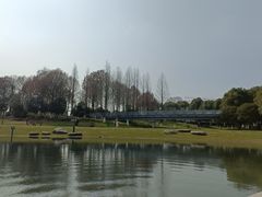 -桐乡凤凰湖